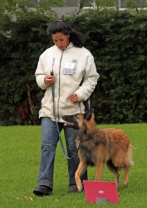 Karin en Zafina Volgoefening